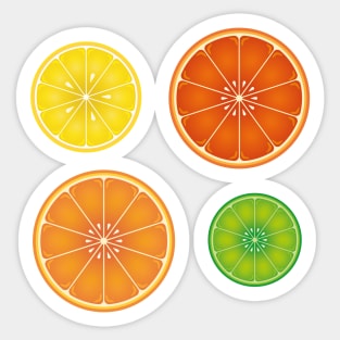 Citrus Slices Pattern: Orange, Lemon, Lime, Grapefruit Sticker